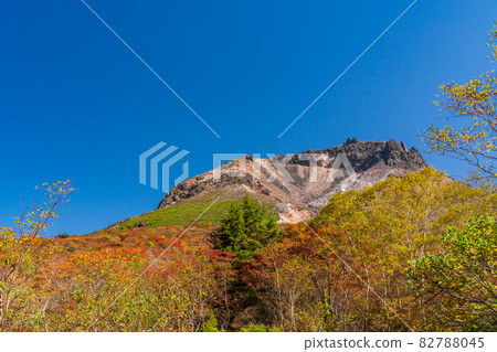 (Tochigi Prefecture) Mt. Chausu, looking up from Mt. 82788045