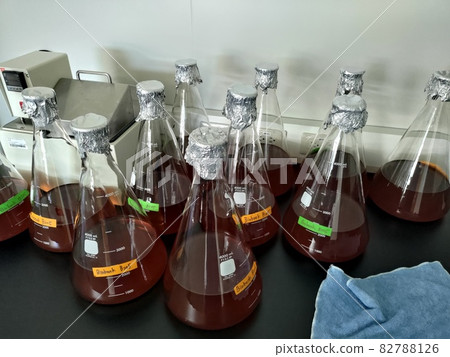 科學實驗 82788126