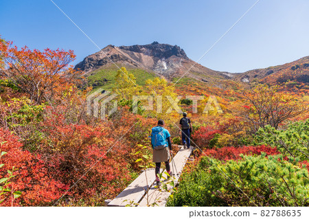 (Tochigi Prefecture) Mt. Nasu, autumn leaves near Mt. 82788635