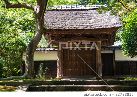 圓樂寺石林 圓樂寺石林 82788835