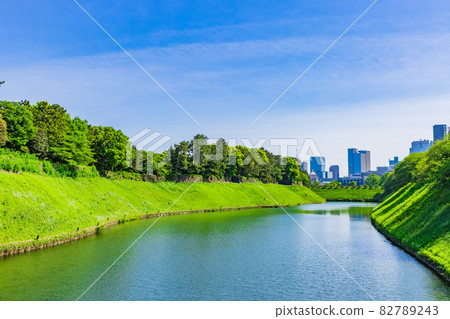 新鮮的綠色千鳥淵東京都市風景 82789243