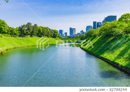 新鮮的綠色千鳥淵東京都市風景 82789244