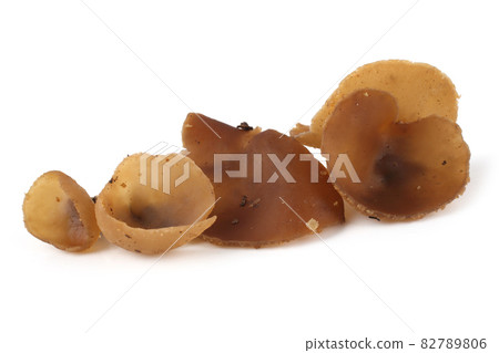 Peziza mushroom isolated on white background 82789806