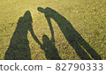 Shadows on the lawn of a family holding hands 82790333