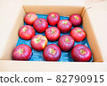 Boxed apples (cultivar Akiei) 82790915