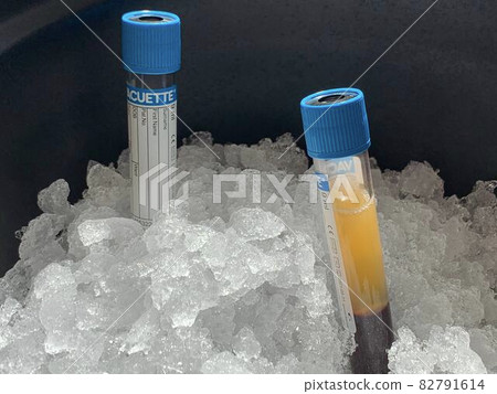 科學實驗 82791614