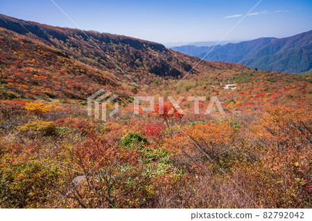 (Tochigi Prefecture) Autumn leaves of Mt. Chausu, Nasu (Tochigi Prefecture) Autumn leaves of Mt. Chausu, Nasu 82792042