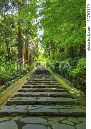 Zuihoden stone stairs Sendai City, Miyagi Prefecture 82793139