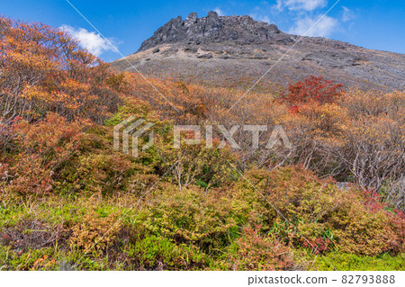 (櫪木縣)那須山:山間小道和秋須山山頂的紅葉 (櫪木縣)那須山:山間小道和秋須山山頂的紅葉 82793888