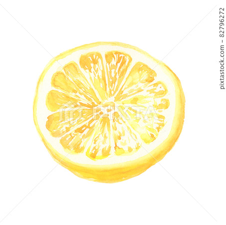 Illustration of grapefruit drawn in watercolor 82796272