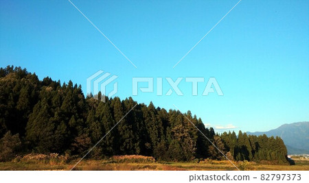 Blue sky and autumn forest Blue sky and autumn forest 82797373