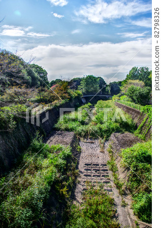 Landscape with trees 82798326