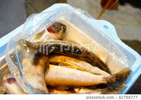 "River fish big catch" "River fish big catch" 82798777