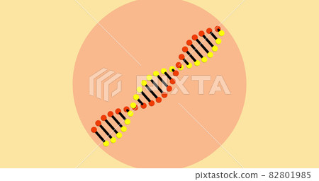 Image of a digital 3d red, yellow and black double helix DNA Image of a digital 3d red, yellow and black double helix DNA 82801985