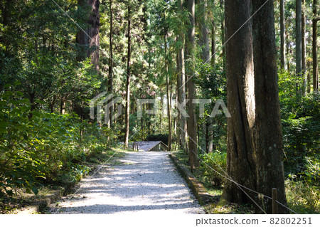 The approach to Tosa Shrine 82802251