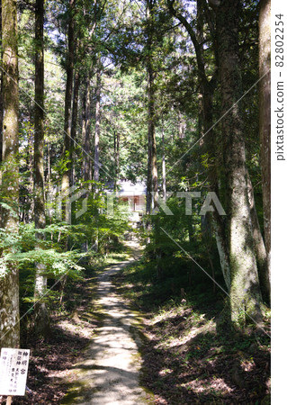土佐神社的道路 土佐神社的道路 82802254