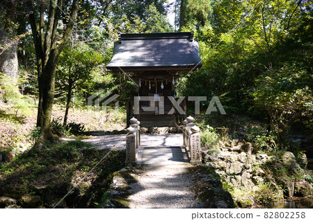 土佐神社的道路 土佐神社的道路 82802258