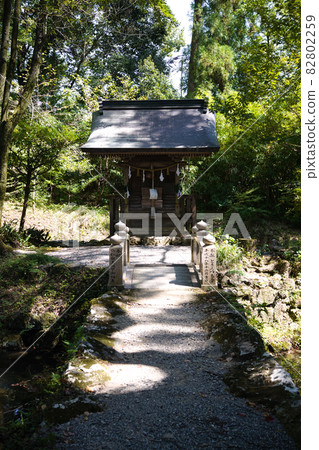 The approach to Tosa Shrine 82802259