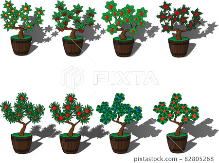 Potted plants for home decoration vector illustartion 82805268