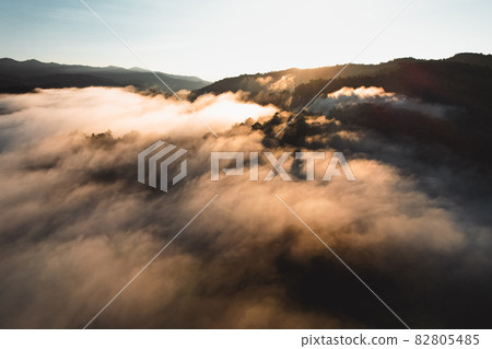 Morning fog in the forest from above Morning fog in the forest from above 82805485