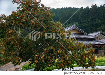 Autumn scenery of Amano village Amano, Katsuragi-cho, Ito-gun, Wakayama Prefecture 82806511