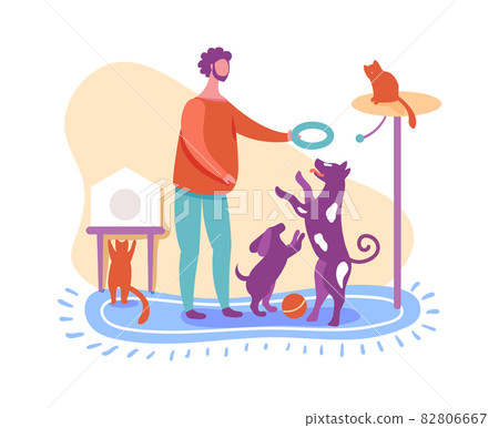 Man training home animals, play with dog Man training home animals, play with dog 82806667