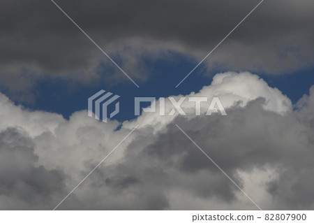 雲 82807900
