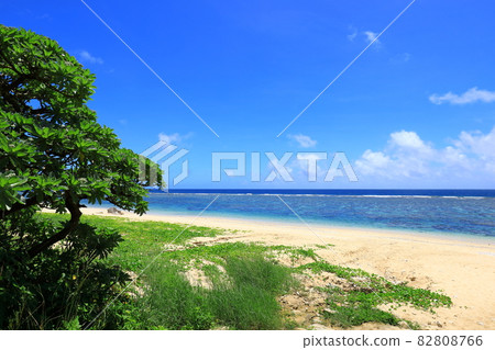 吉野海岸 藍天碧海 吉野海岸 藍天碧海 82808766