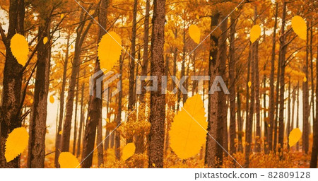 Composition of leaves falling over autumn forest scenery Composition of leaves falling over autumn forest scenery 82809128