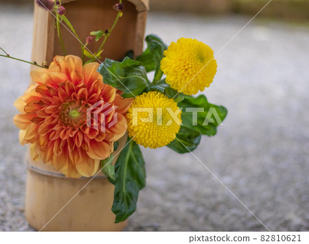 Image of full moon, flower arrangement, autumn image Image of full moon, flower arrangement, autumn image 82810621