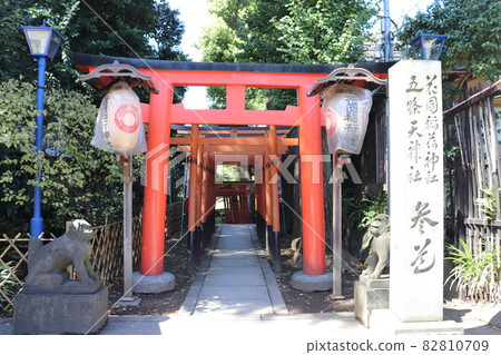 花園稻荷神社上野公園台東區東京都 花園稻荷神社上野公園台東區東京都 82810709