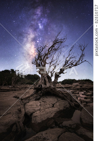 Milky way galaxy with Dry tree Khang chiang mob. Milky way galaxy with Dry tree Khang chiang mob. 82810717