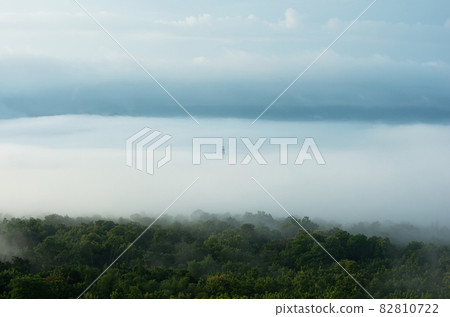 High voltage power poles in green forest. 82810722
