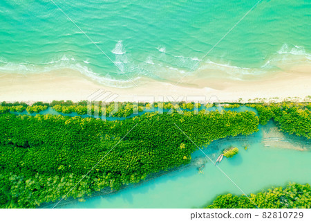 sea and perfect mangrove forest sea and perfect mangrove forest 82810729