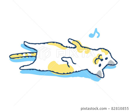 Cat lying on its back 82810855