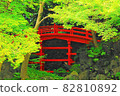Fresh green and red of Tsuten Bridge 82810892
