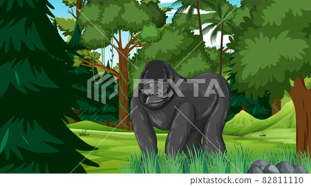 Gorilla in forest or rainforest scene with many trees 82811110