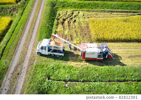 State of rice harvesting Hakuba Village, Nagano Prefecture (aerial view by drone) 82812301