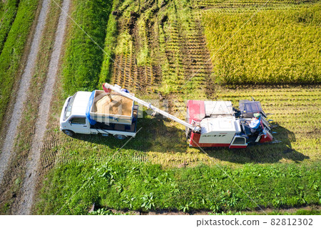 State of rice harvesting Hakuba Village, Nagano Prefecture (aerial view by drone) 82812302