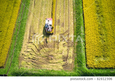State of rice harvesting Hakuba Village, Nagano Prefecture (aerial view by drone) State of rice harvesting Hakuba Village, Nagano Prefecture (aerial view by drone) 82812306
