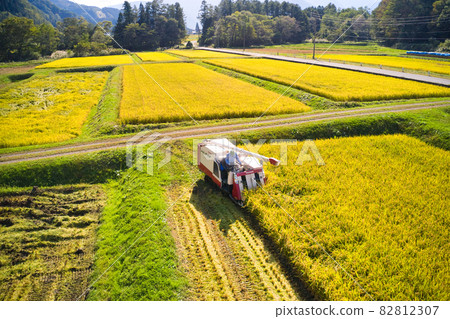 State of rice harvesting Hakuba Village, Nagano Prefecture (aerial view by drone) State of rice harvesting Hakuba Village, Nagano Prefecture (aerial view by drone) 82812307