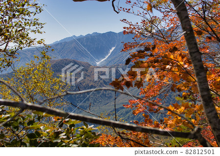 Beautiful autumn leaves and powerful Karamatsudake / Karamatsuzawa (glacier) Tsugaike Natural Garden Otari Village, Nagano Prefecture Beautiful autumn leaves and powerful Karamatsudake / Karamatsuzawa (glacier) Tsugaike Natural Garden Otari Village, Nagano Prefecture 82812501