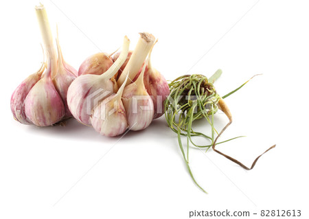 Garlic and seeds isolated on white 82812613