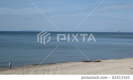 沙質浮木和海洋平台和垂釣者 沙質浮木和海洋平台和垂釣者 82813583