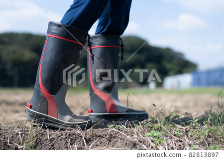 Agriculture / field work image 82813897