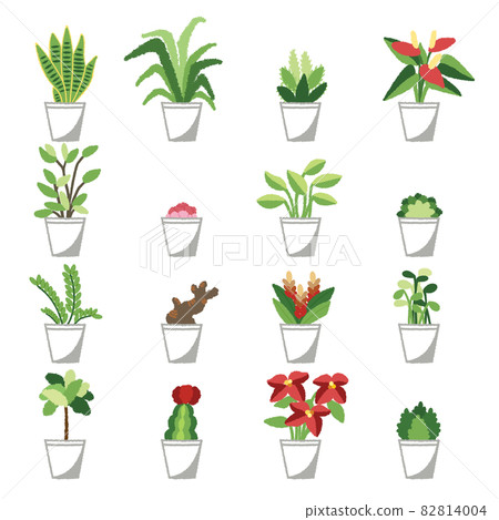 葉子植物的例證 82814004