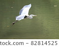 A heron flapping its wings 82814525