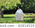 A bride in pure white in a summer park 82814529