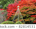 Snow hanging and autumn leaves 82814531