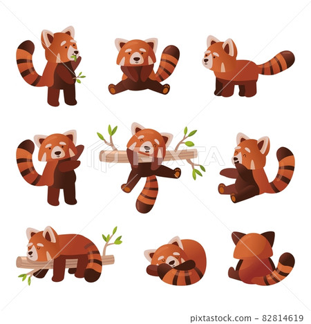 Cute red panda cartoon set 82814619